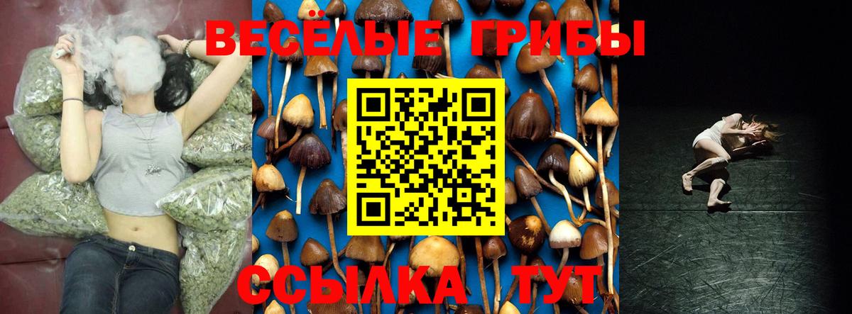 Псилоцибиновые грибы мицелий  Галлюциногенные грибы Magic Shrooms  Азов  Вход с VPN 